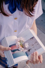 少女情怀总是诗