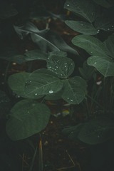 1000043492