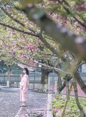 201804016