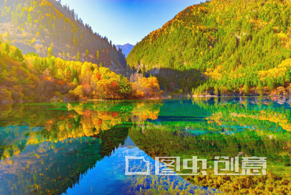 图虫创意视觉趋势第五十四期