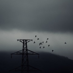 001