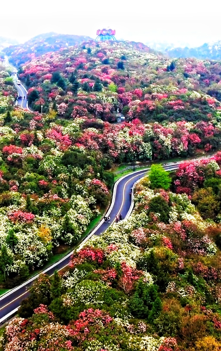 黔西市金坡景区