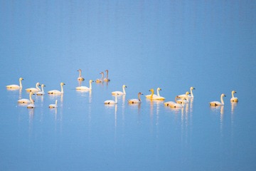 DSC_6461-4
