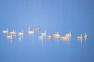 DSC_6461-5
