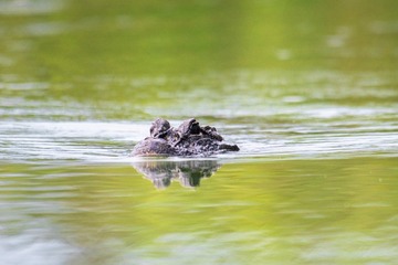 DSC_5531-2