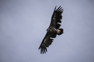 DSC_3699-2