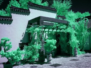 IMG_8166_______