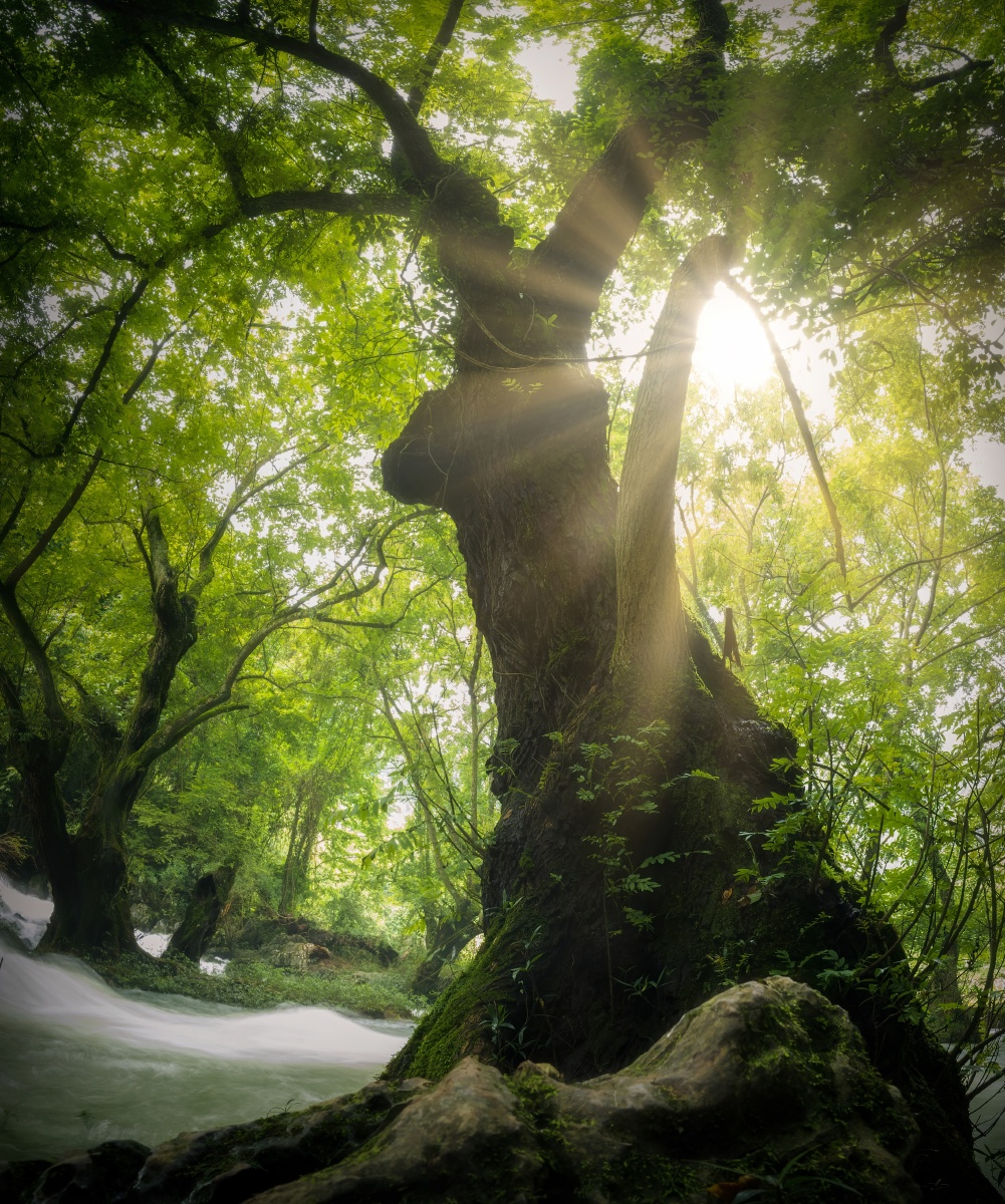 日光下澈,影布石上 - jose-zhang - 图虫