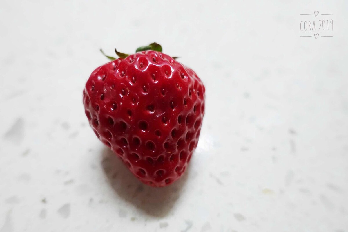 一颗小草莓的登记照