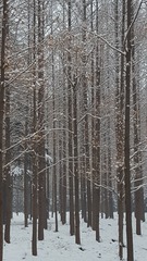 988560