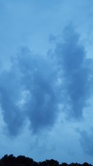 988252