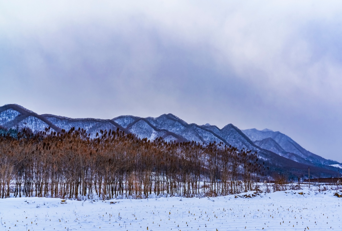 北国风光雪后的大地山峦