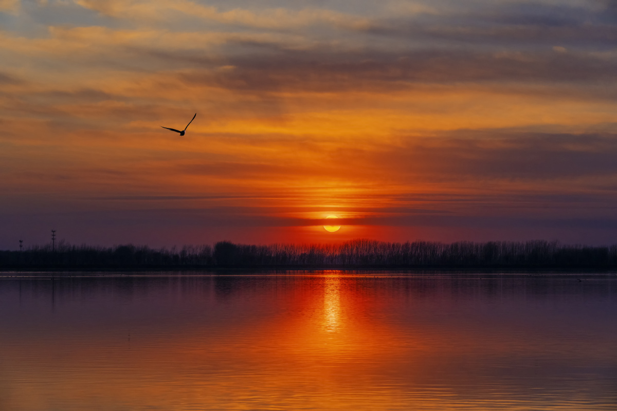 沈阳珍珠湖日落