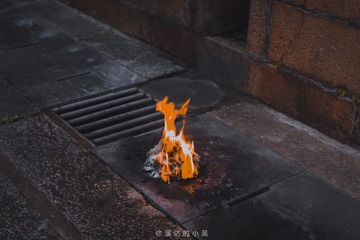 55268