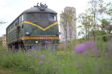 736235
