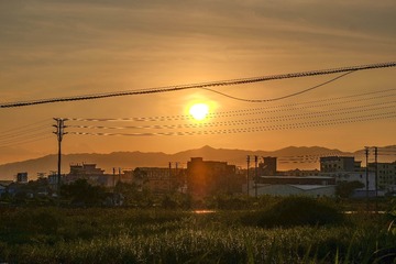 305287