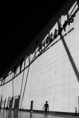 DSC09142 (1)