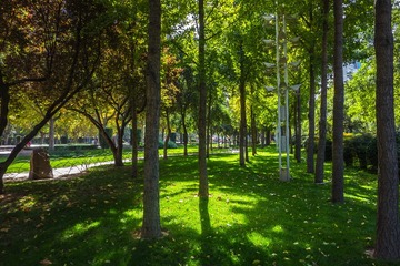 _DSC4806-1