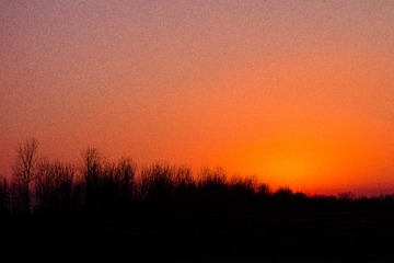 _DSC4690-1