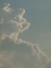 3F693626-78D3-4E2B-938A-7C0152E5756C/L0/001
