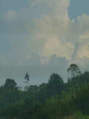 8561174E-C7EB-4C47-96C5-A97CE0C152D3/L0/001