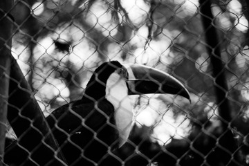 IMG_0797-1-01