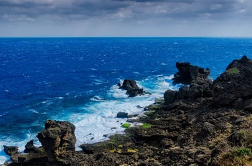_DSC2965