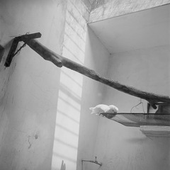 Image3