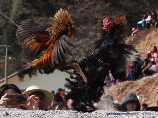 P2100349
