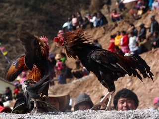 P2100356