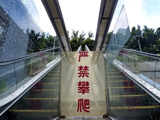 _9010019