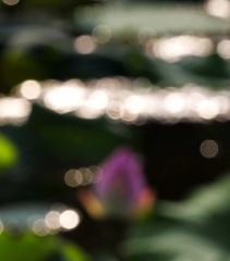 _5220001