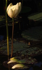 _5220021