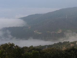 _9262658