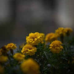 60151650-CF44-4E47-998D-AE878DC4985B/L0/001