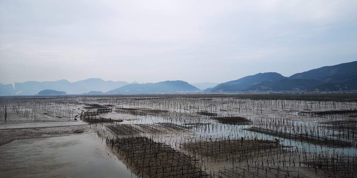 一年可以养殖多少次虾,稻田轮作可利用维持稻田养虾生态环境