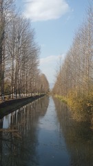 408596