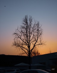 1065027