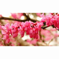 F0CE79AF-48C4-4524-89EF-62A884E506EF/L0/001