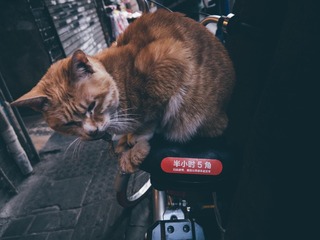 _1170959