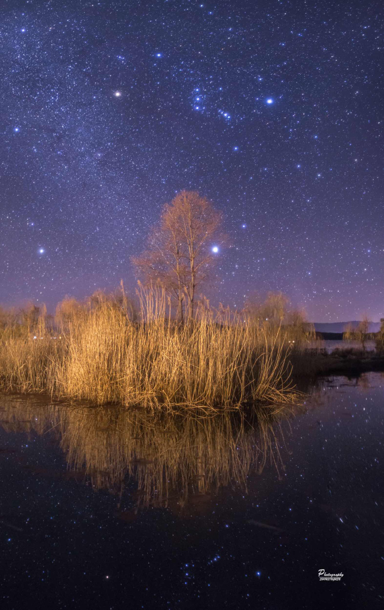 泸沽湖的满天星