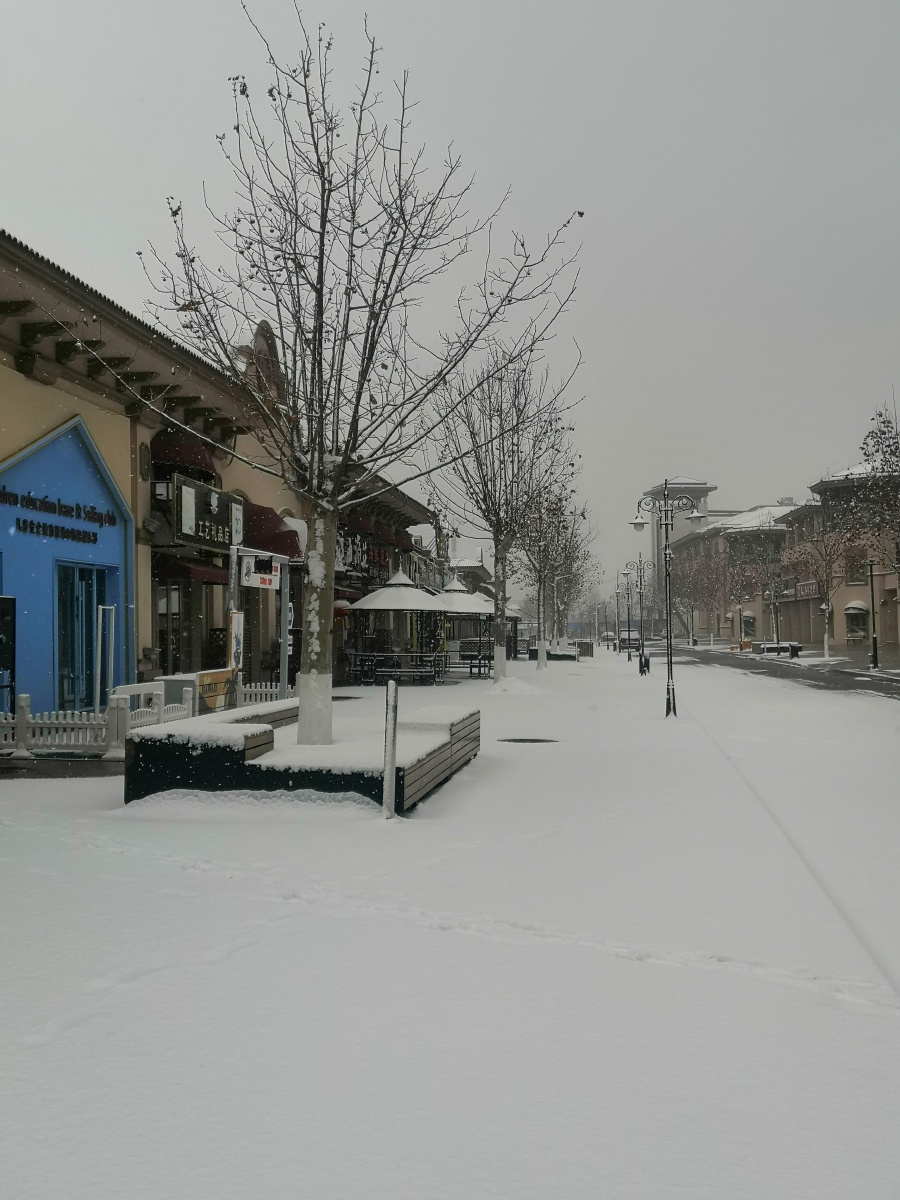 2020年2月15号拍摄于唐山市乐亭县中南唐山湾