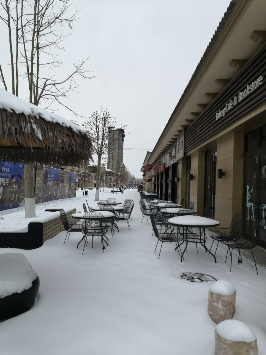 2020年2月15号拍摄于唐山市乐亭县中南唐山湾