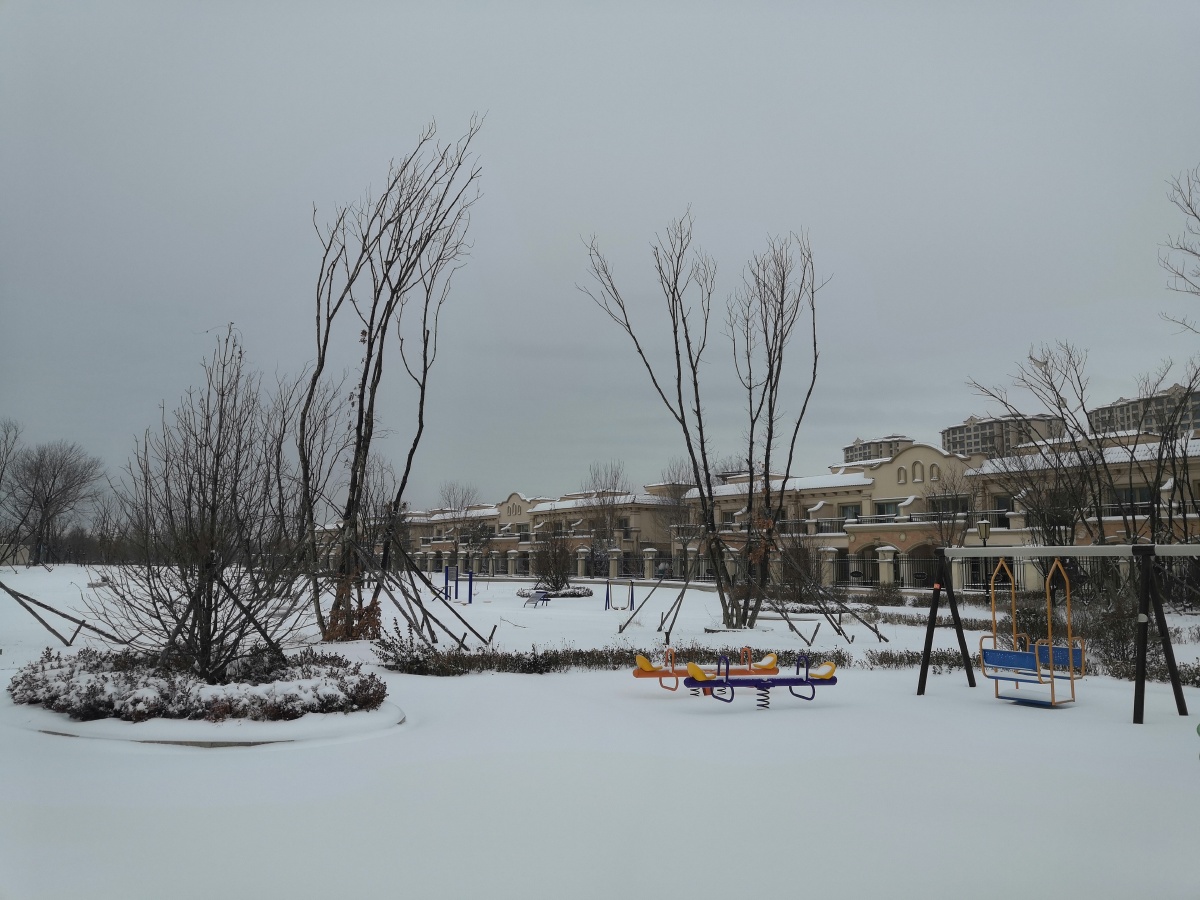 2020年2月15号拍摄于唐山市乐亭县中南唐山湾