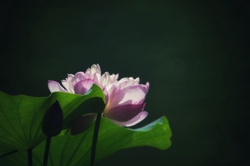 001