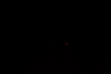 1F9CBCF4-0E73-4828-8303-804995D87C89/L0/001