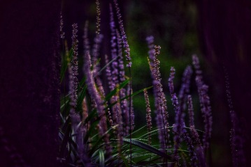 4DDA9366-C631-4F4A-B464-611D64629E02/L0/001