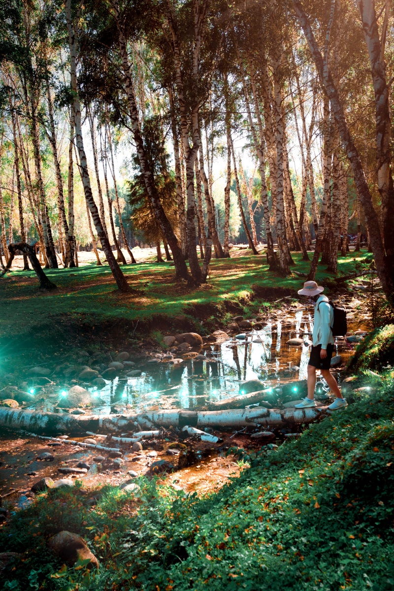 aureliano与森林 - aureliano的图库 - 图虫