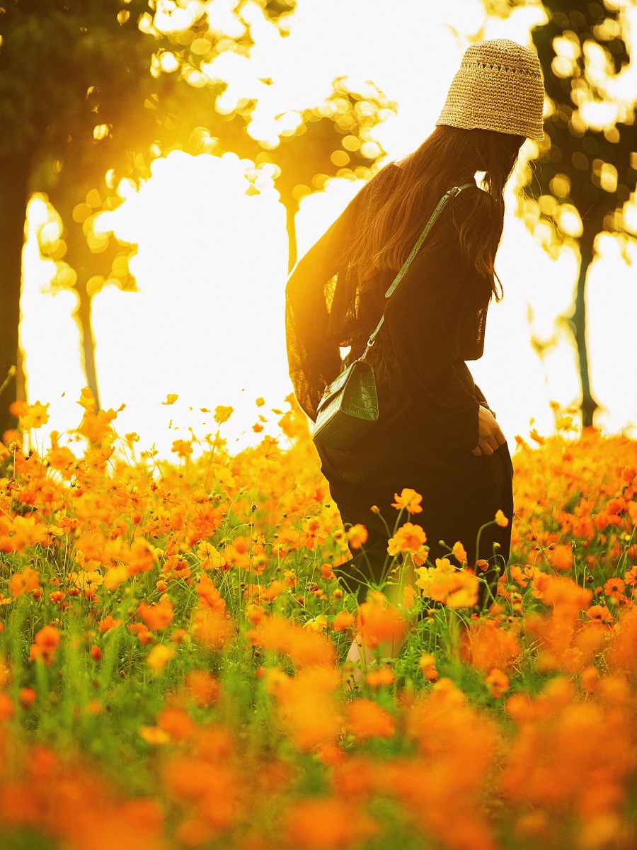 用心灵感触美景用镜头记录光影光线可以制造氛围亦可烘托影调这组逆光
