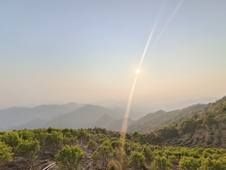 1000027009